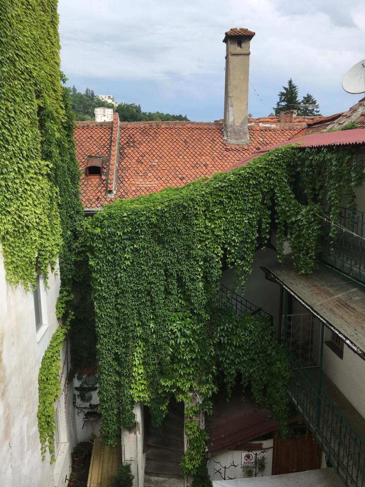 Apartament cu 2 dormitoare
